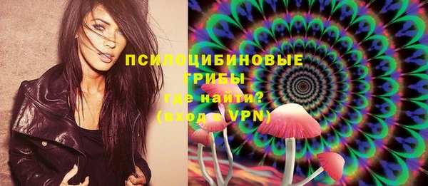 spice Мурманск