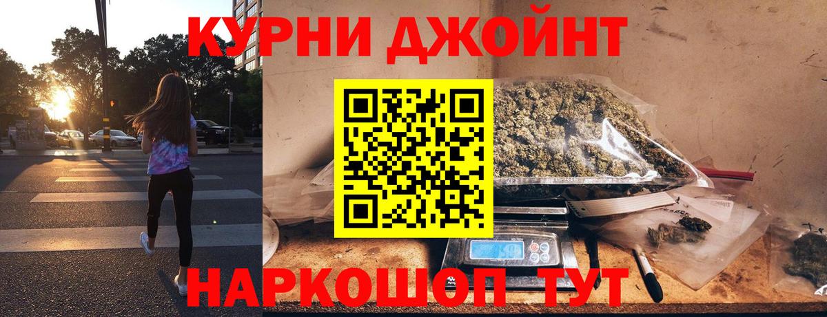 Меф Сыктывкар
